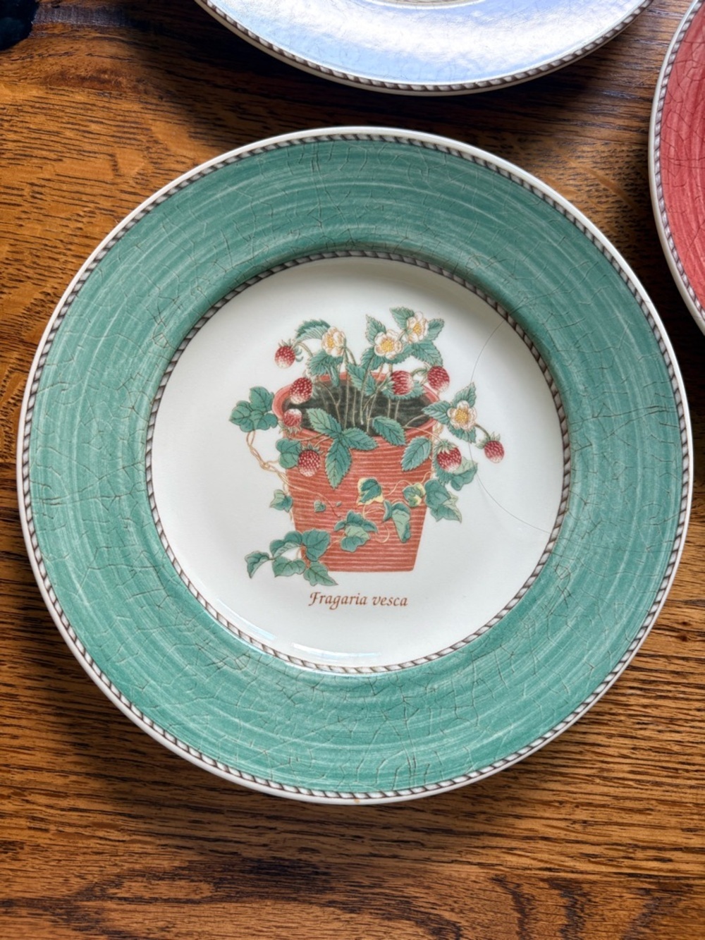 Wedgwood (3) Sarah’s Garden- 1997 Floral Accent salad Plates - Made in England - Picture 3 of 16
